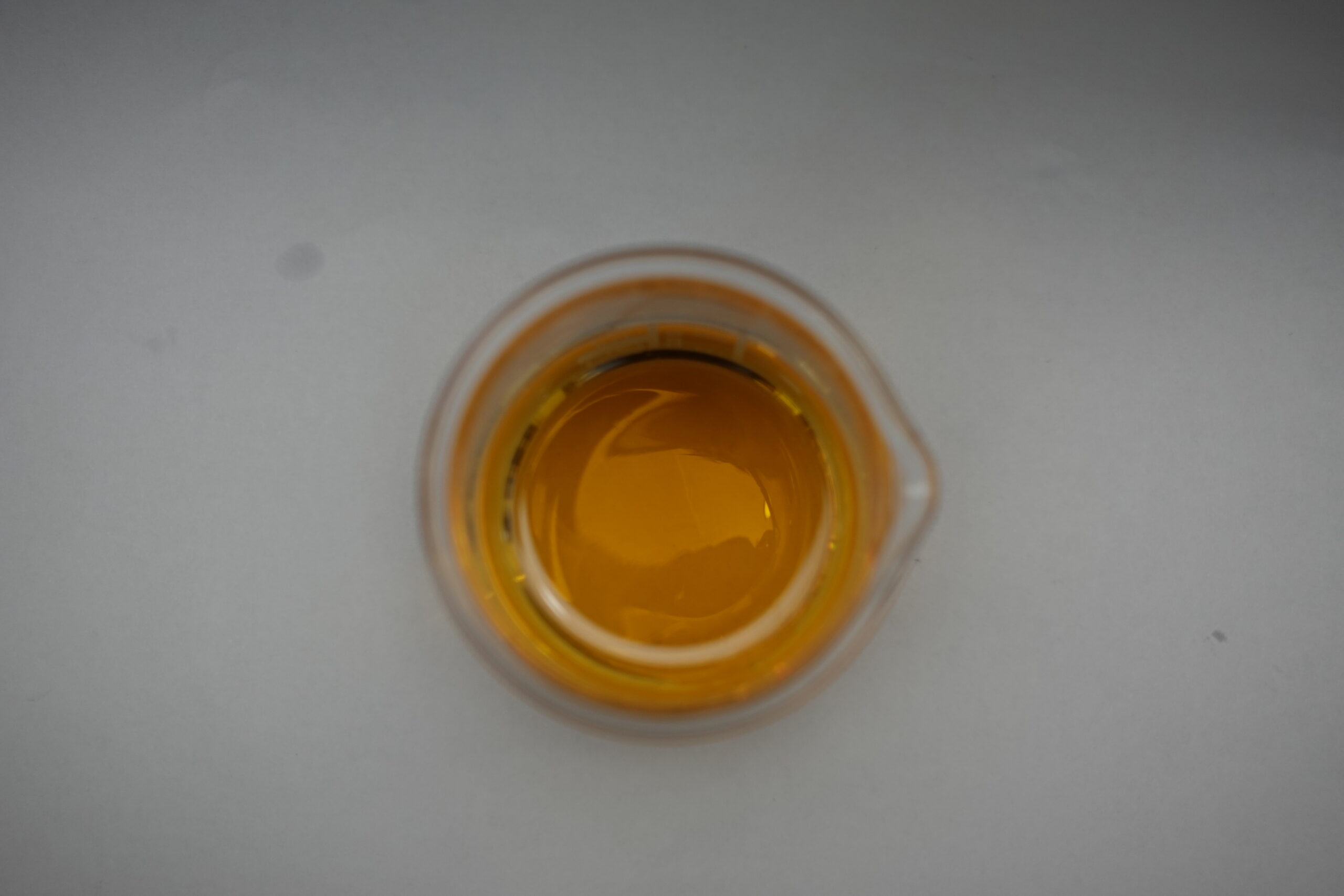 DSC01339