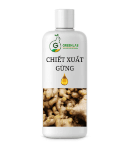 chiet-xuat-gung-chiet-xuat-thien-nhien-trong-my-pham