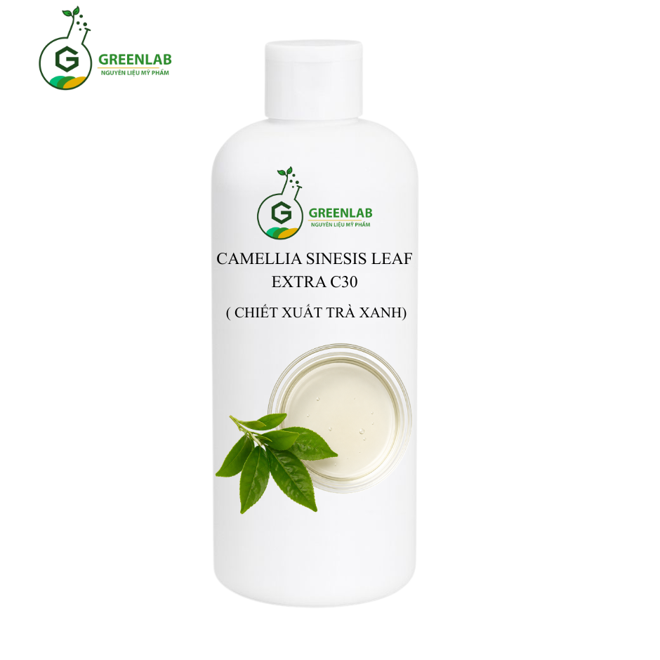 Chiết Xuất Trà Xanh Camellia Sinesis Leaf Extra C30
