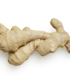 Củ gừng – nguyên liệu Chiết xuất Gừng