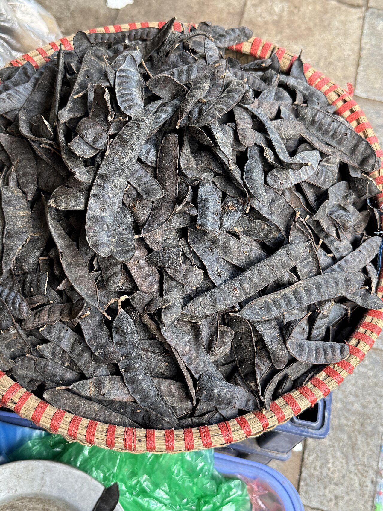 Quả bồ kết – nguyên liệu Chiết xuất Bồ Kết Quả bồ kết – nguyên liệu Chiết xuất Bồ Kết